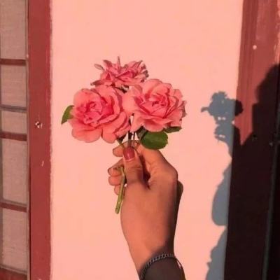 暗黑屠龙单机游戏下载